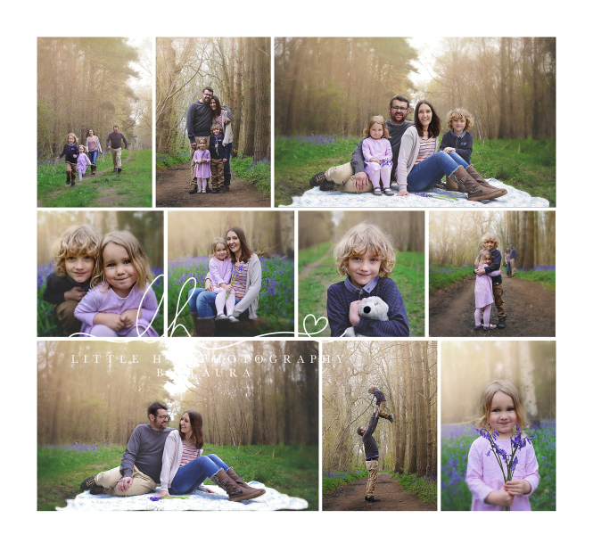 Ellie gallery copy